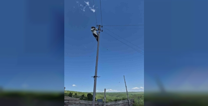 Aras Elektrik ekipleri arılara karşı özel önlem alıyor