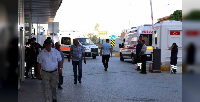 Arı sokmaları ölümcül alerjik reaksiyonlara neden olabilir