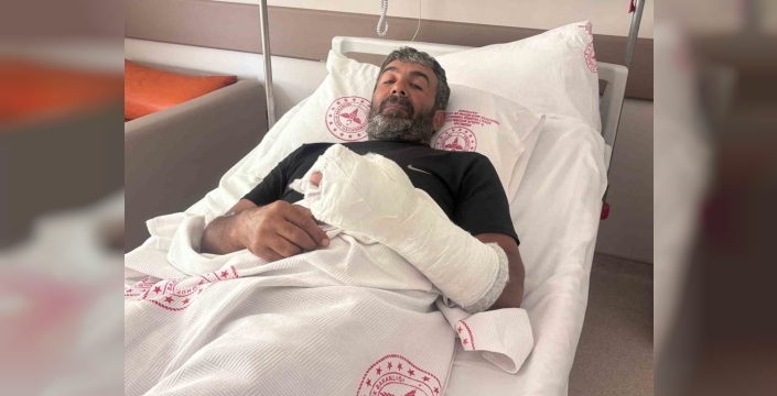 Ayı dehşetinden kürekle kurtuldu: Çiftçi o anları anlattı, 'Elim olmasaydı...' dedi