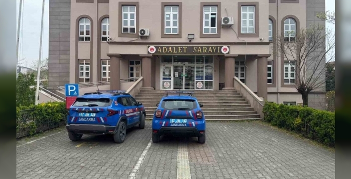 Bahçesinde gizlice kenevir yetiştirenler jandarmaya yakalandı