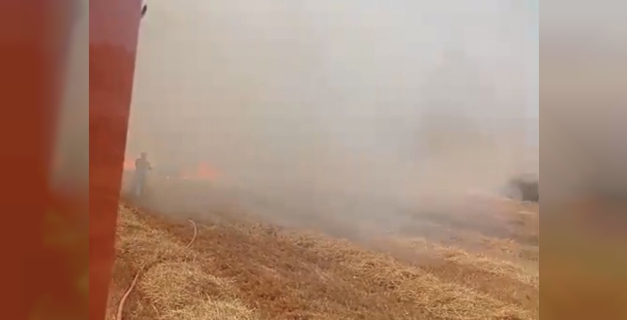 Bandırma'da anız yangını paniğe yol açtı, itfaiye zamanında müdahale etti
