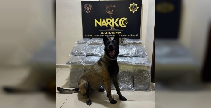 Bandırma'da gübre kokusu değil, uyuşturucu çıktı: 11 kilo skunk yakalandı