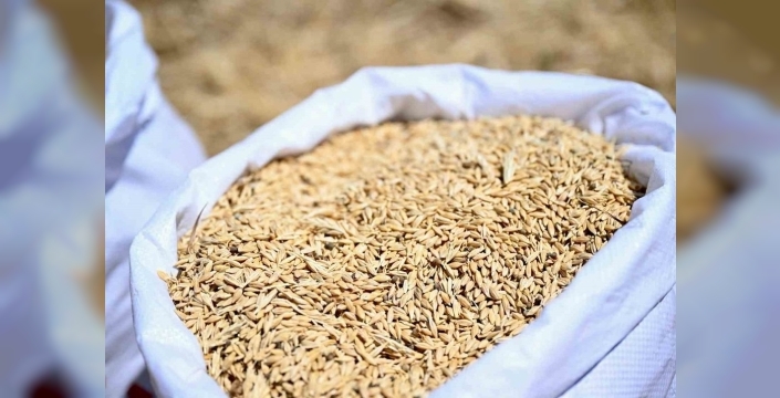 Başkan Geçit'ten üreticilere ücretsiz arpa müjdesi