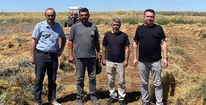 Beyşehir kırmızı mercimeği için coğrafi işaret başvurusu