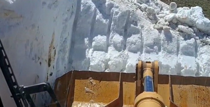 Bingöl'de akılalmaz tezat: Bir yanda kar, diğer yanda sıcaktan bunalan inekler!