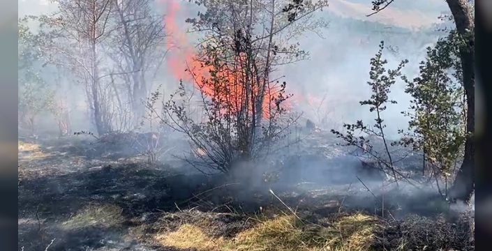 Bitlis'te ardı ardına çıkan yangınlar korkuttu, itfaiye zor anlar yaşadı