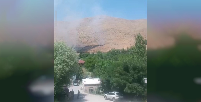 Bitlis'te dağlık alanda çıkan yangın, binlerce arıyı telef etti