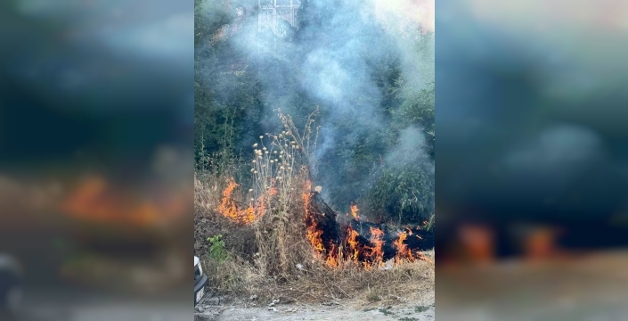 Bolu'da ot yangını: Mahalle sakinleri itfaiyeden önce kahraman oldu