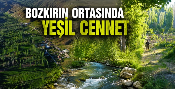 Bozkırın Ortasında Yeşil Cennet