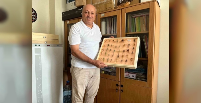 Çekirge paniği mi? Uzman uyardı: