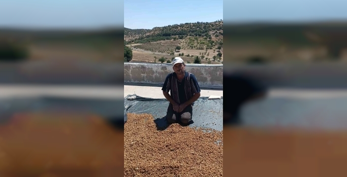 Çermik'te dut sezonu başladı, üreticiler yüzleri güldürüyor