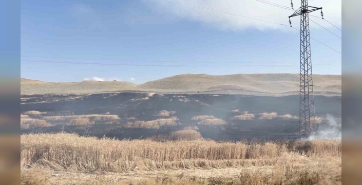 Çorum'da tarlada yangın paniği: İtfaiye ekipleri müdahale etti