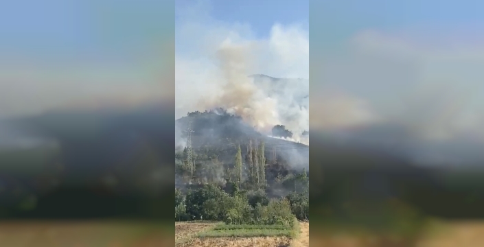 Çorum'daki orman yangını söndürüldü, soğutma çalışmaları sürüyor