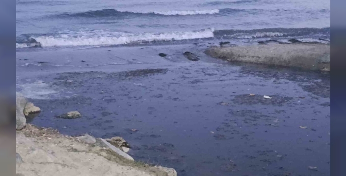 Değirmenaltı Deresi'nde balık ölümleri araştırılıyor: İlgili kurumlar harekete geçti