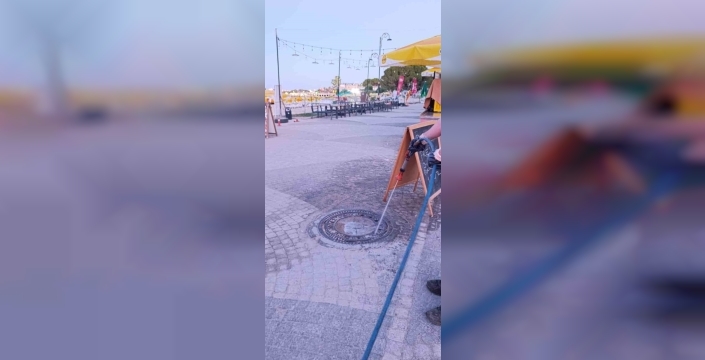 Didim'de halk sağlığı için ilaçlama seferberliği başladı