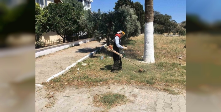 Didim yeşeriyor: Belediyenin kendi ürettiği çiçekler şehri süslüyor