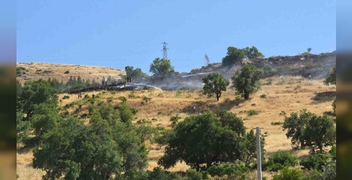 Diyarbakır'da yüksek gerilim hattına çarpan kuş yangına yol açtı