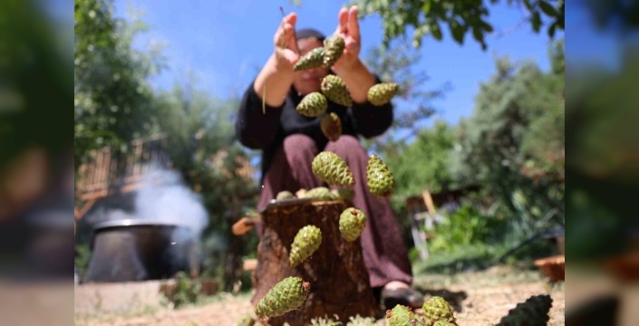 Doğal şifa kaynağı: Odun ateşinde 8 saat pişen kozalak şurubuna müthiş talep