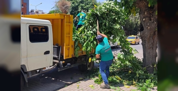 Efeler'de parklar ve yeşil alanlar yenileniyor