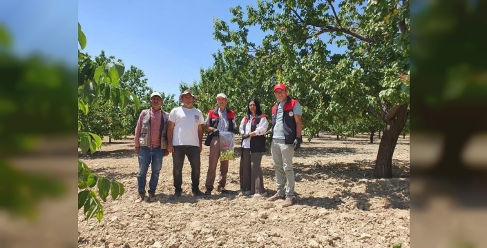 Elazığ'da bitkisel üretimde pestisit denetimi başladı
