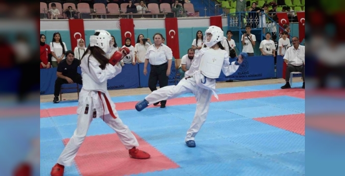Elazığ'da karate heyecanı sona erdi: Analig grup müsabakalarında kazananlar belli oldu