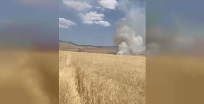 Elazığ'da tarım arazileri alevlere teslim: 35 dönüm mahsul kül oldu