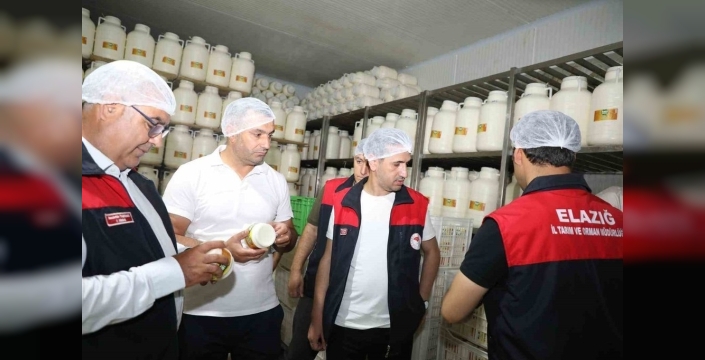 Elazığ tulum peyniri üretim bantları mercek altında