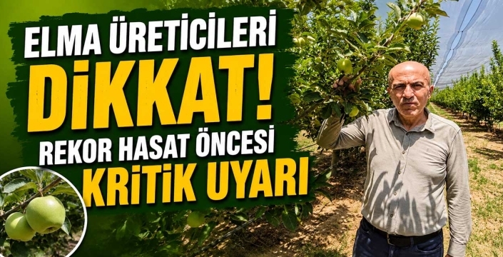 Elma üreticileri dikkat! Rekor hasat öncesi kritik uyarı