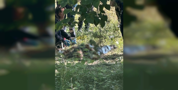 Eskişehir'de gizemli ölüm: Ağaçlar arasında cansız beden bulundu