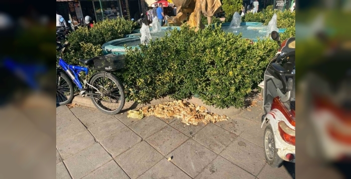 Eskişehir'de kuşlar için bırakılan ekmekler çevre kirliliğine yol açtı