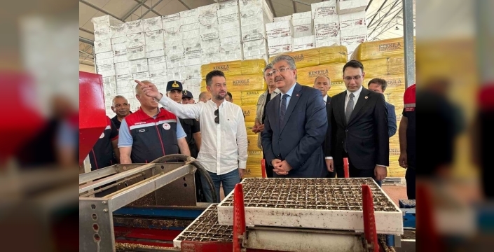 Eskişehir Valisi Yılmaz, Sarıcakaya'daki modern fide tesisini ziyaret etti