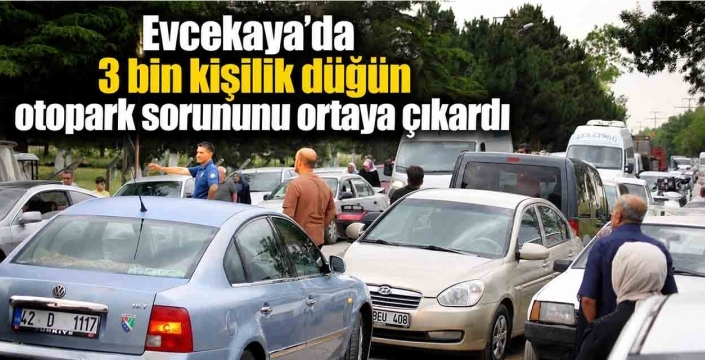 Evcekaya'da 3 bin kişilik düğün otopark sorununu ortaya çıkardı