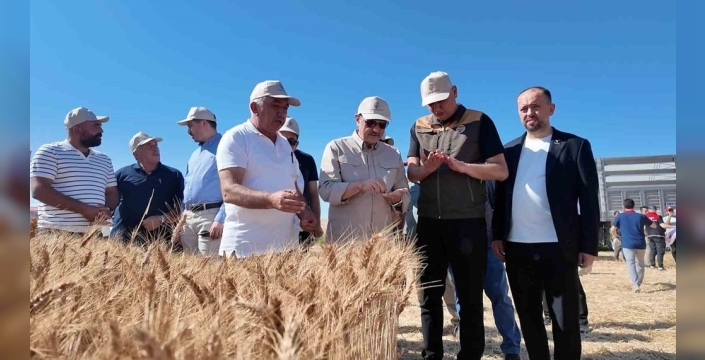 Fatih Dönmez, Eskişehir'de buğday hasadına katıldı ve verim artışını duyurdu