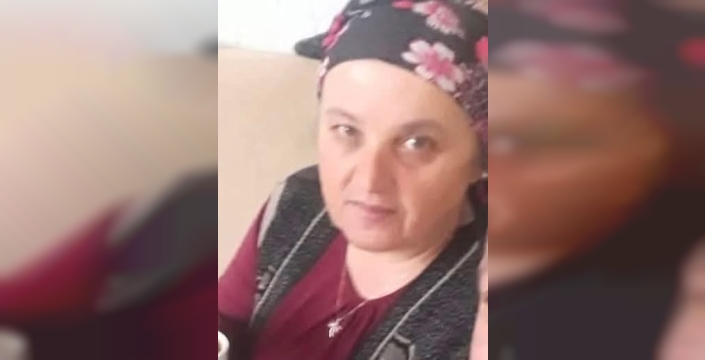 Fındık bahçesinde ölümcül sokma: Eşek arısı can aldı