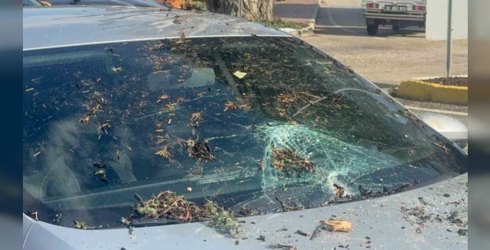 Fırtına, Eğirdir'de ağaç devirdi: Park halindeki otomobil hasar gördü