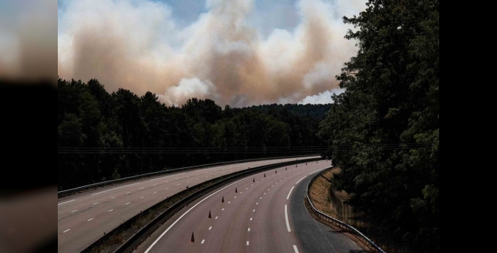 Fontainebleau Ormanı'nda dehşet: 3 bin dönüm küle döndü, kundaklama şüphesiyle 2 kişi tutuklandı
