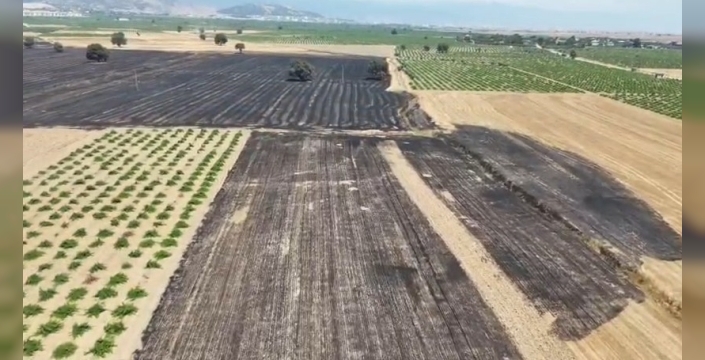 Gaziantep’te anız yangını, tarım arazilerini harabeye çevirdi