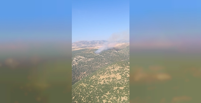 Gaziantep'te orman yangını kontrol altına alındı