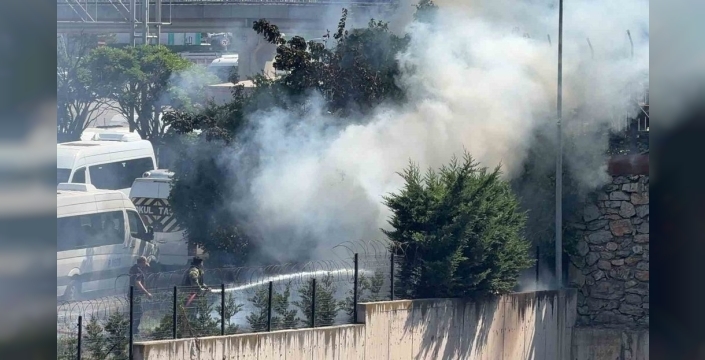 Gebze'de korkutan orman yangını söndürüldü, iş yerleri kurtuldu