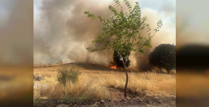 Gölbaşı'nda trafo patladı, 1 hektarlık ağaçlık alan yok oldu