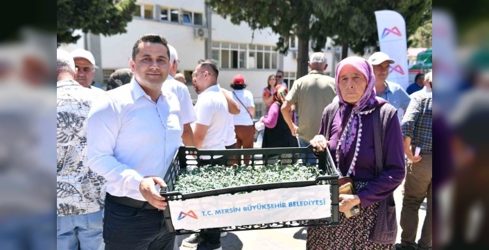Gülnar'da çiftçiye neşter: Fide, ekipman ve sulama desteğiyle üretim canlanıyor