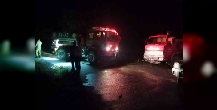 Gümeli yolunda izmarit yangını paniği: Ekipler zamanında müdahale etti