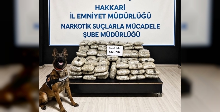 Hakkari'de büyük uyuşturucu operasyonu: 57 kilo skunk ele geçirildi