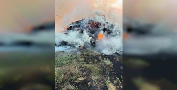 Iğdır'da korkutan ot yangını: 6 bin balya kül oldu!