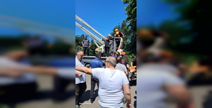Ihlamur toplarken hayatını kaybetti: Talihsiz kaza Rize'yi yasa boğdu