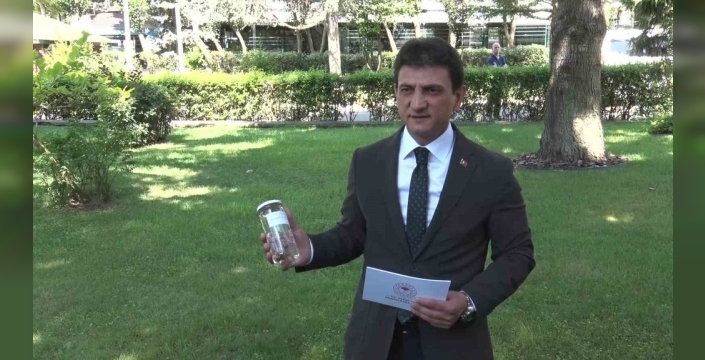 İstanbul'da çekirge paniği yok: İl Tarım Müdürü'nden net açıklama