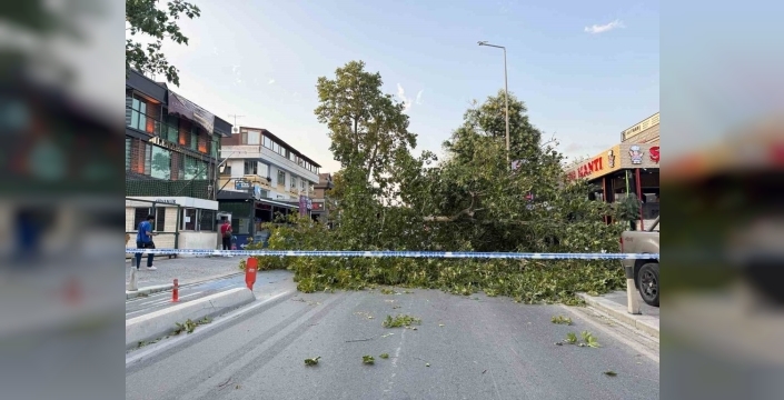 İstanbul'da etkili fırtına, kentte hasara yol açtı