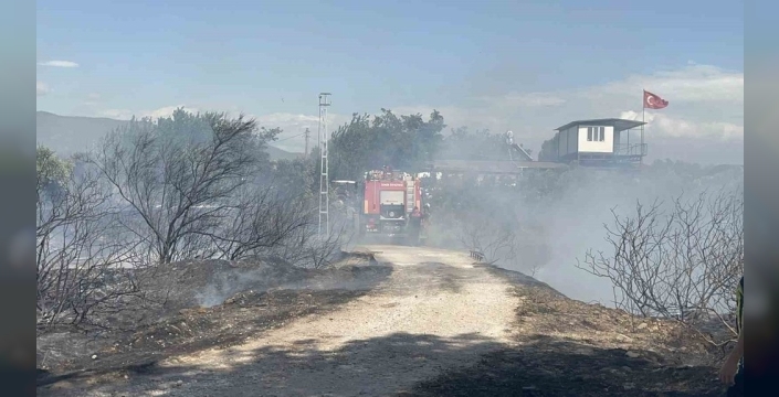 İzmir'de Moloz Yığınından Fırlayan Alevler Evleri ve Zeytinlikleri Tehdit Etti: Korku Dolu Anlar