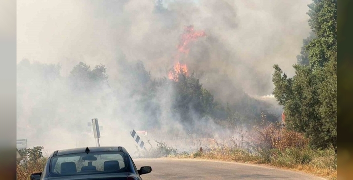 İznik'te yangın paniği: Çiftçiler traktörleriyle kahramanlık yaptı!