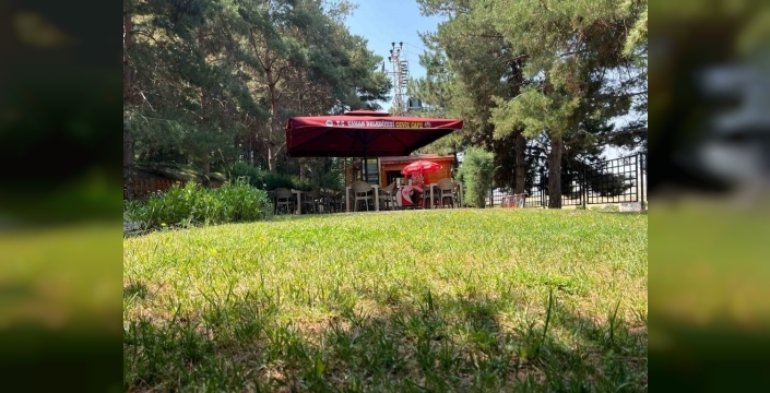 Kaman'daki Ceviz Kafe, yerli ve yabancı turistlerin ilgisini çekiyor